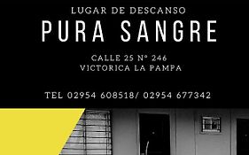 Pura Sangre